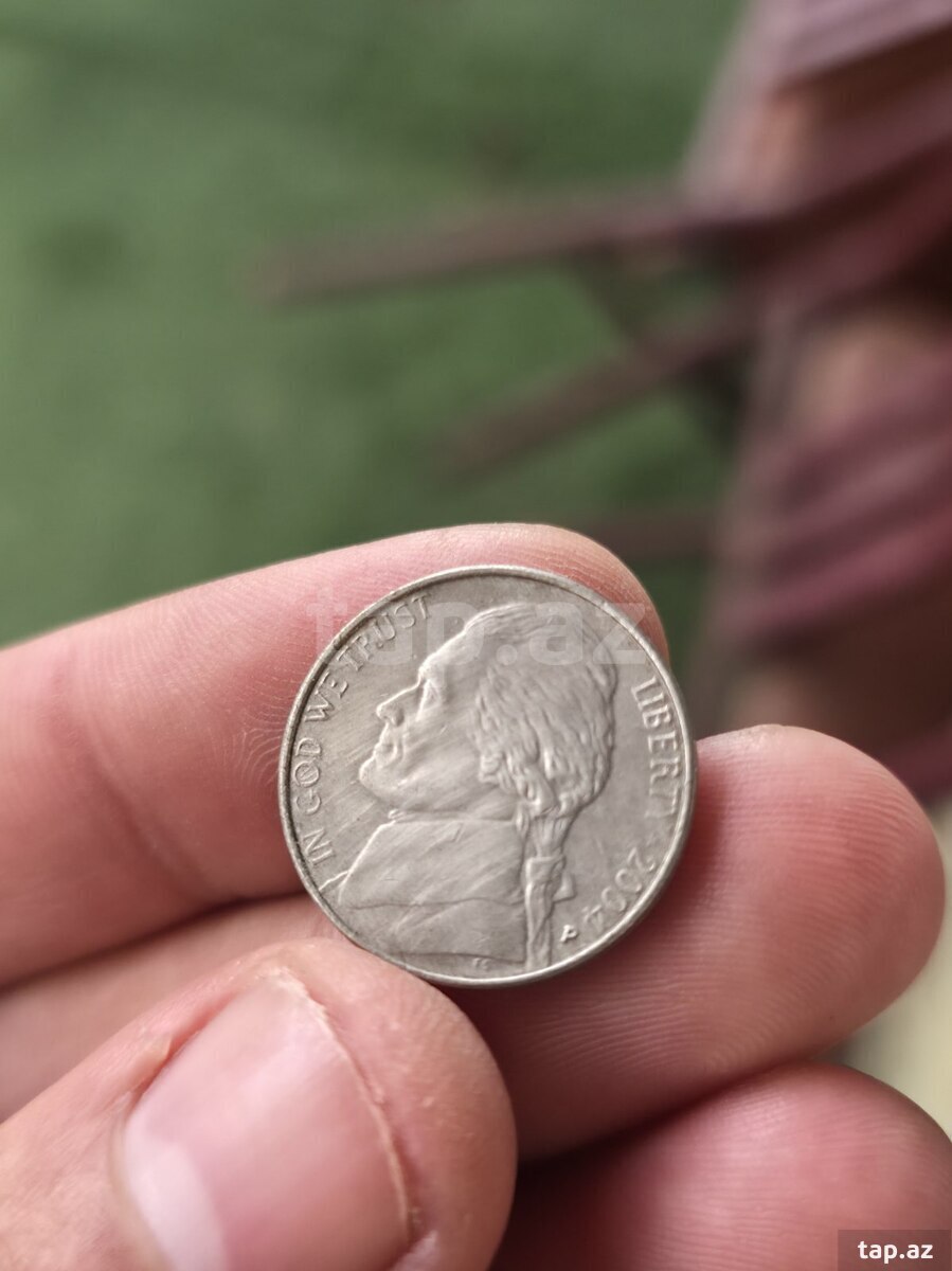 Amerika pulları (9)