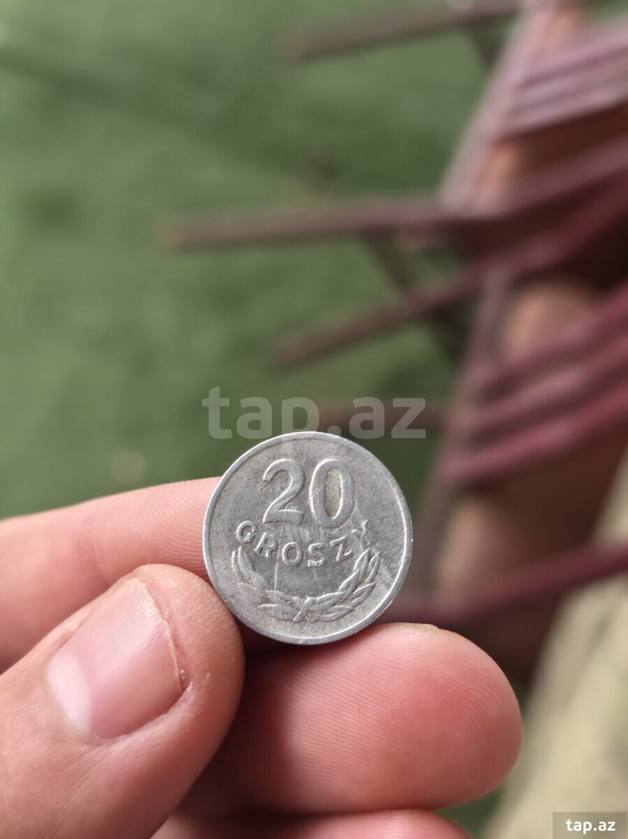 Amerika pulları (20)