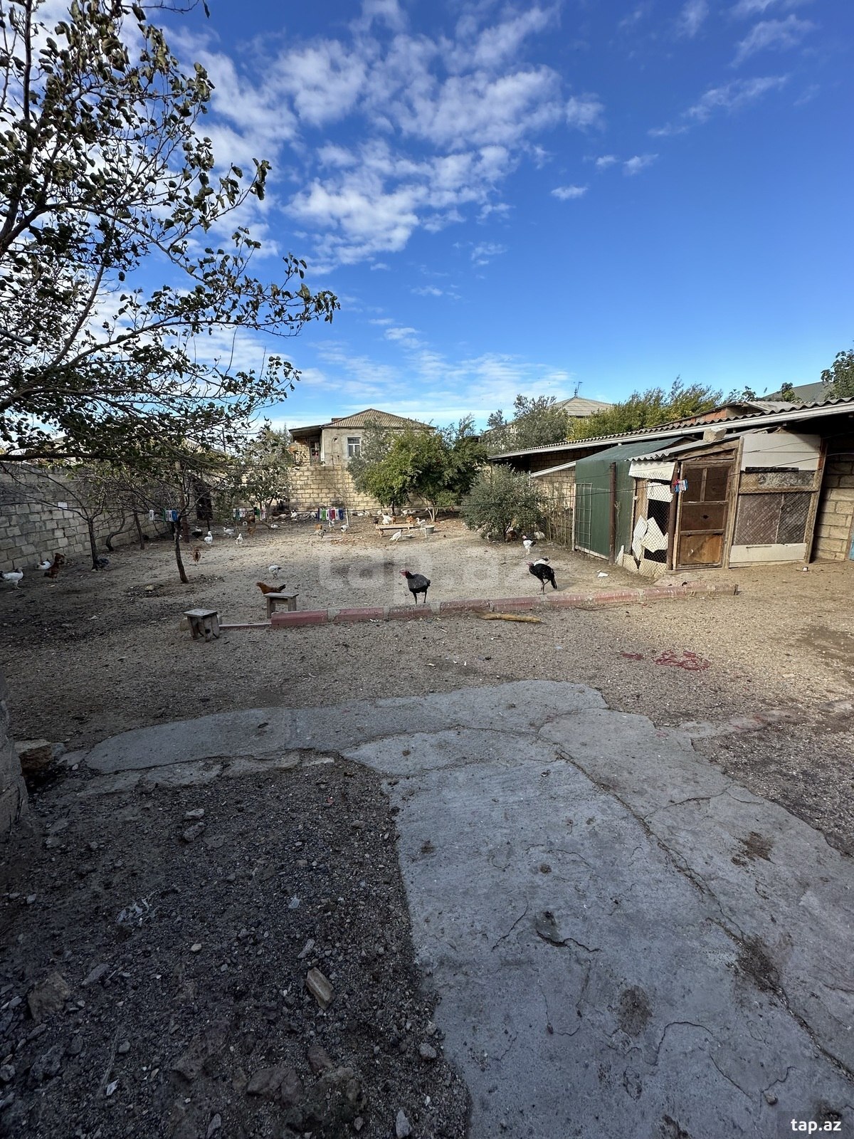 Həyət evi, Saray qəs.