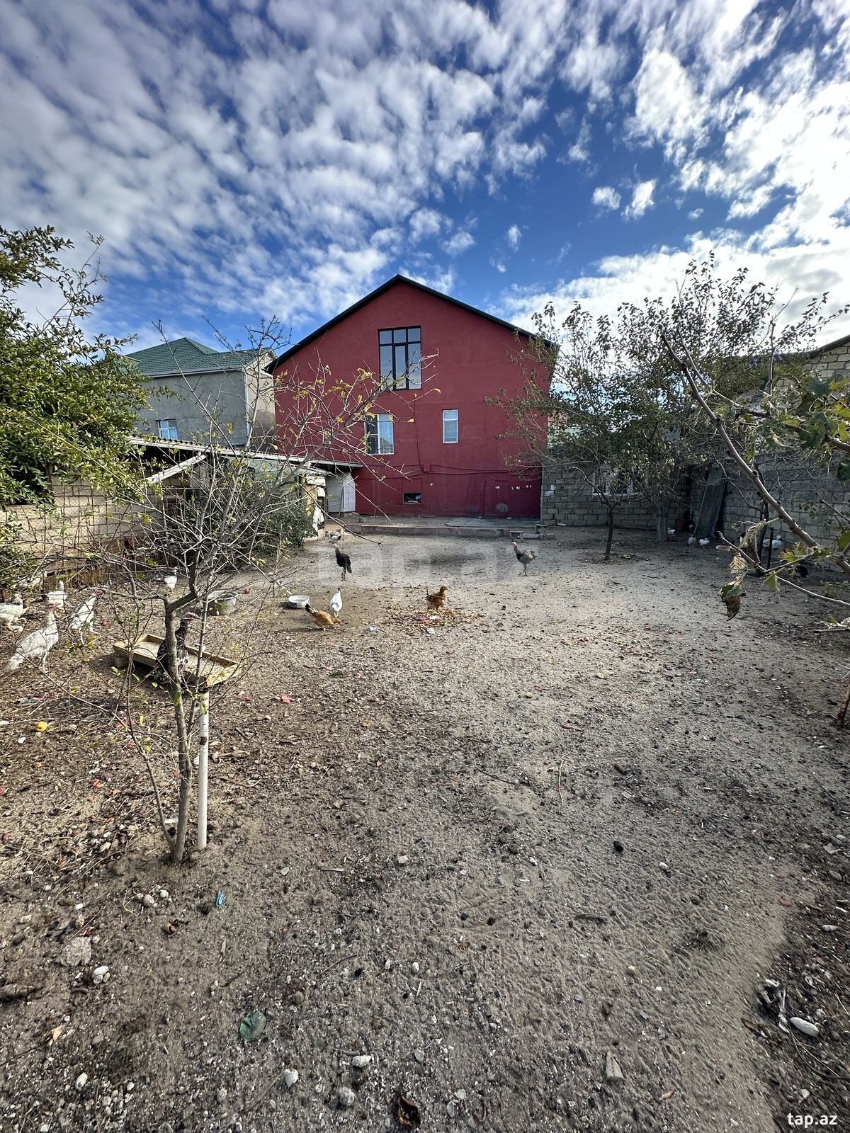 Həyət evi, Saray qəs.
