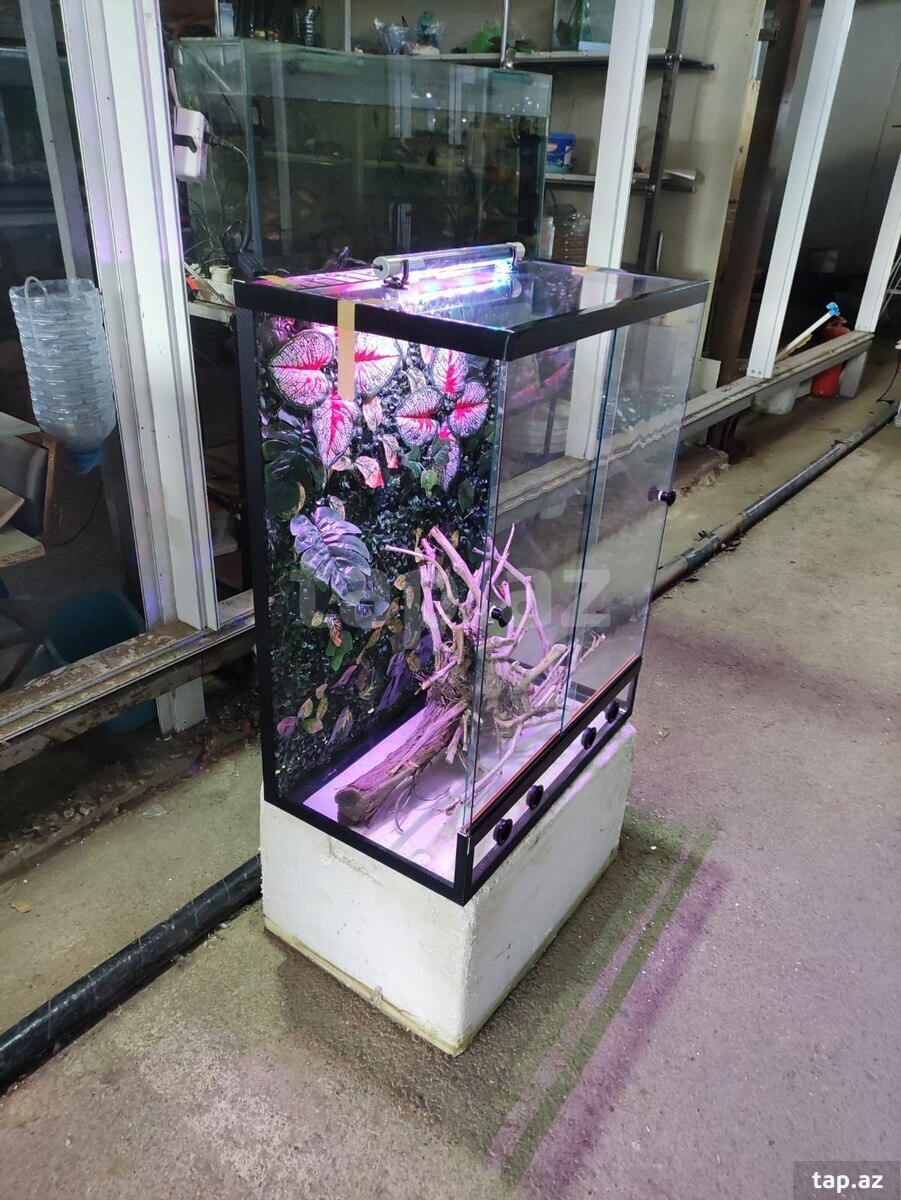 Terrarium