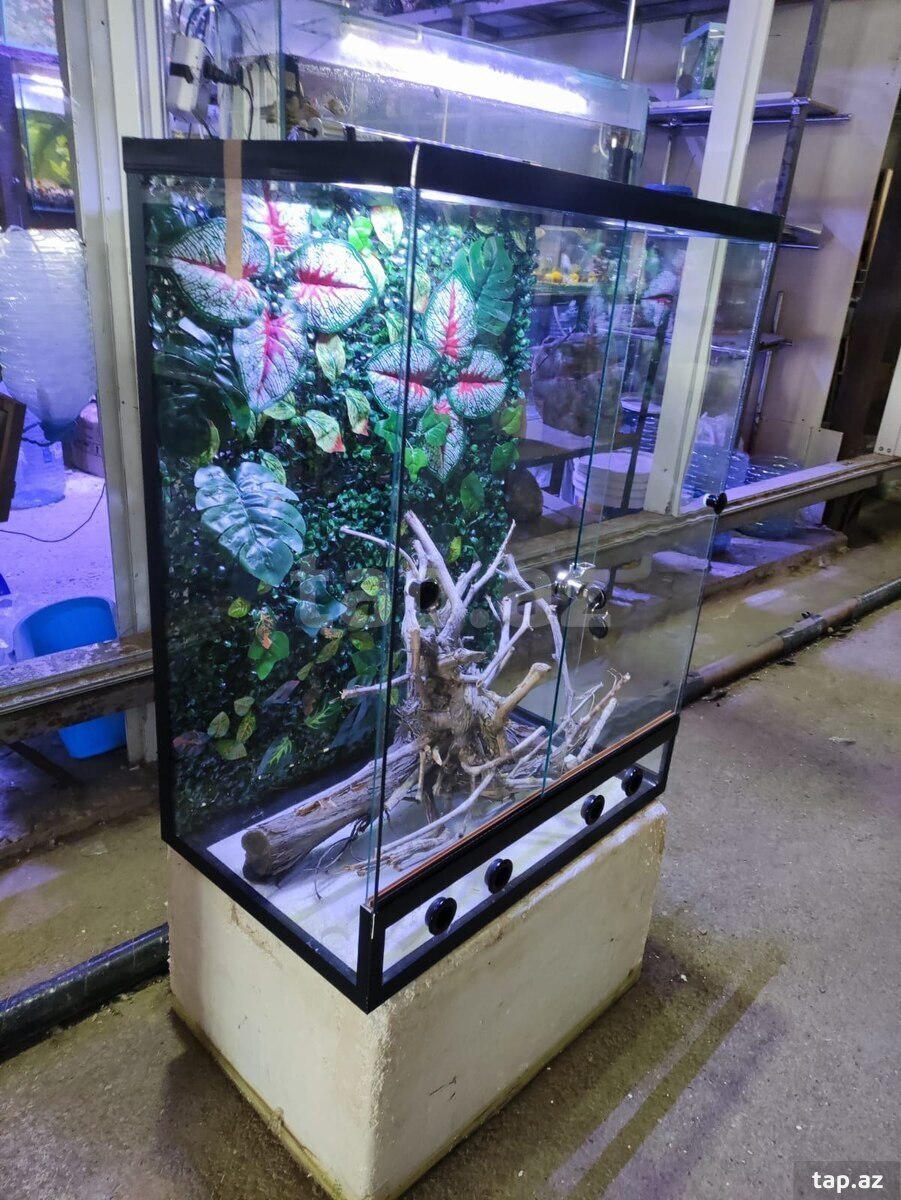 Terrarium (4)