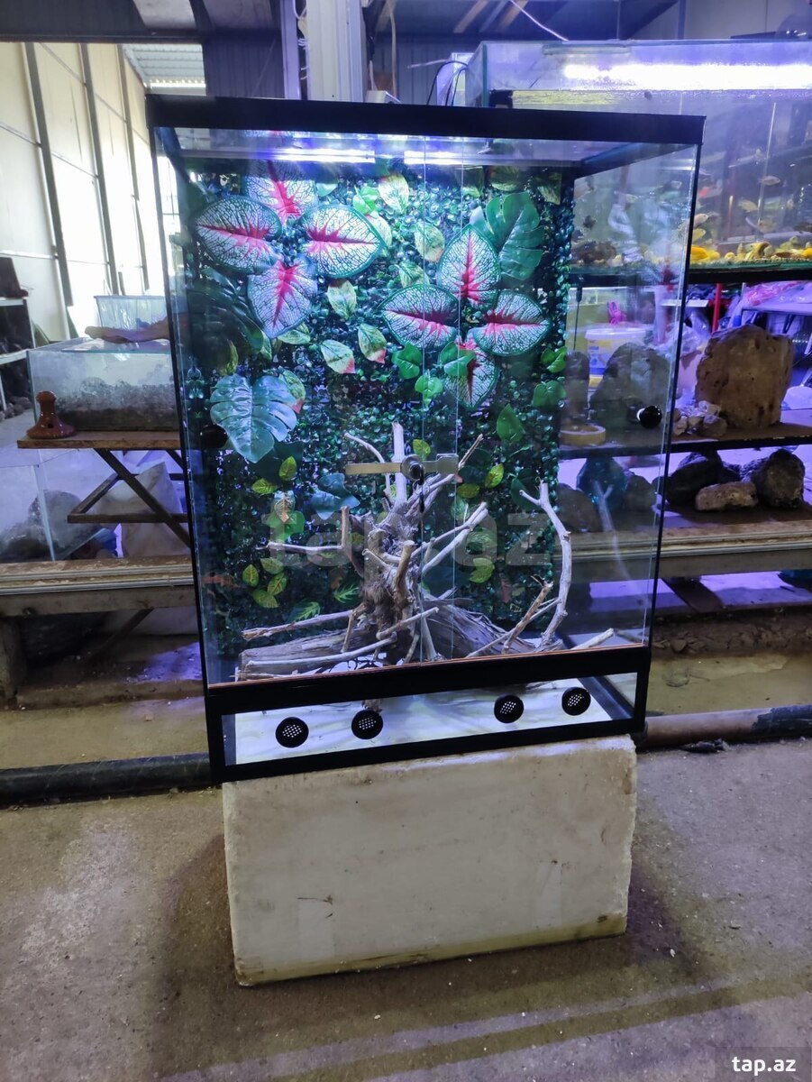 Terrarium (3)