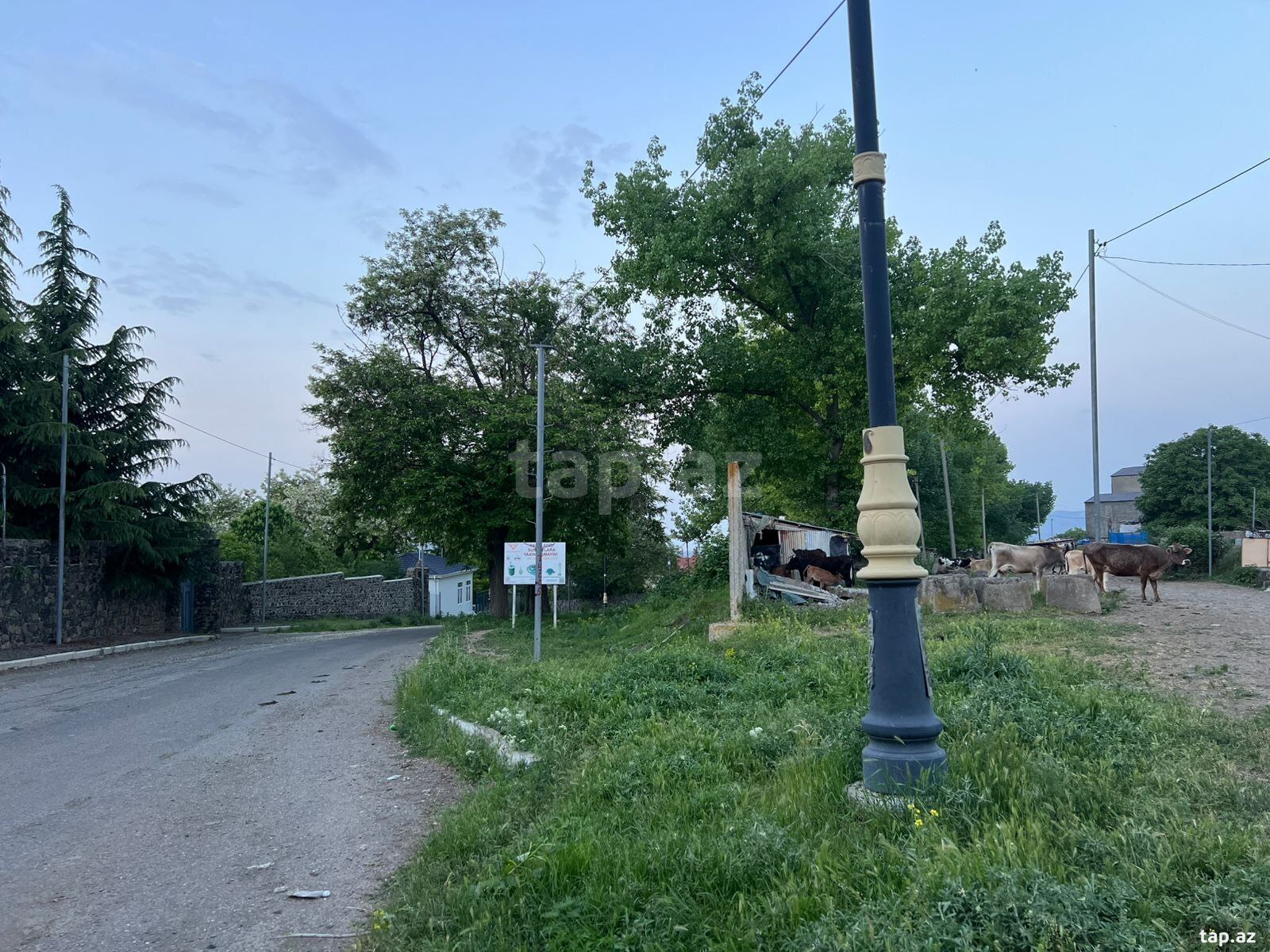 12 sot torpaq sahəsi, Gəncə ş.