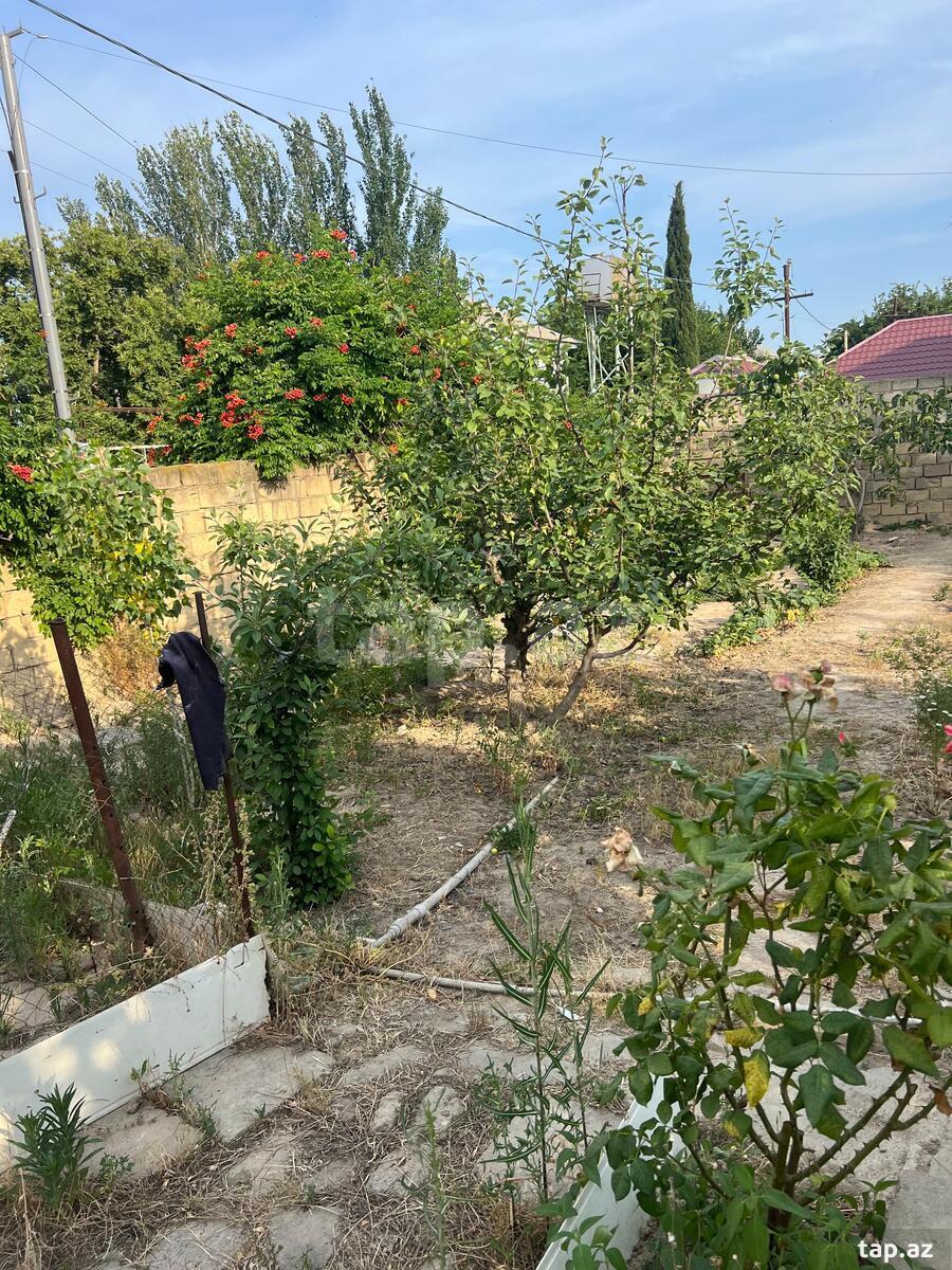 Həyət evi, Qaradağ r.