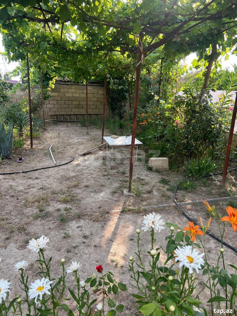 Həyət evi, Qaradağ r.