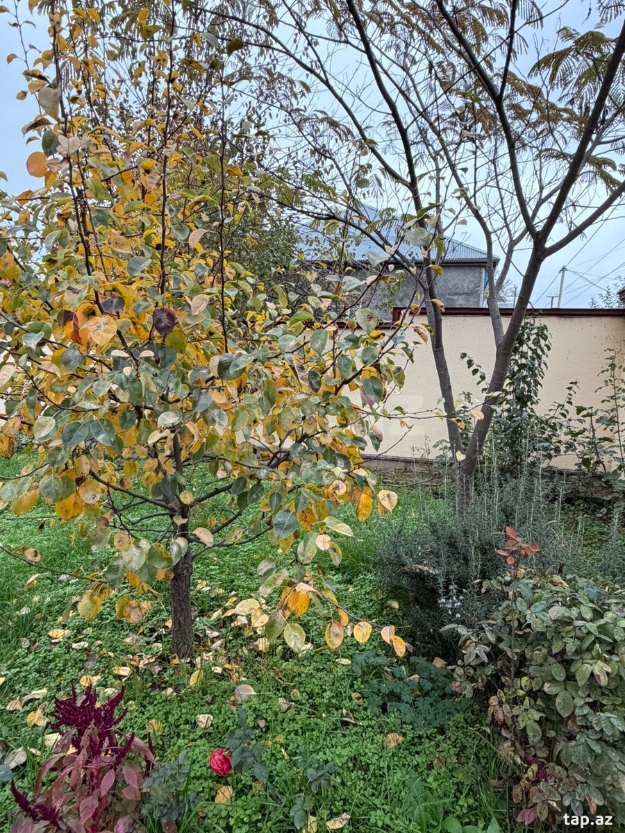 Bağ evi, Qusar r. (27)