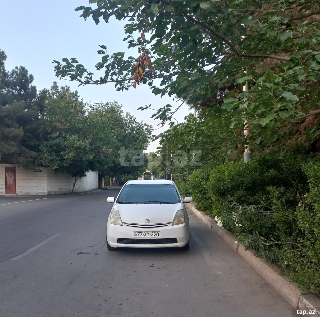 Toyota Prius, 2009 il (11)