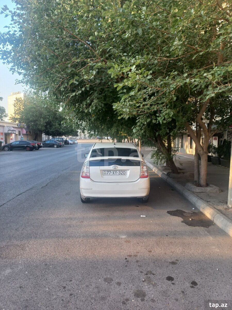 Toyota Prius, 2009 il (10)