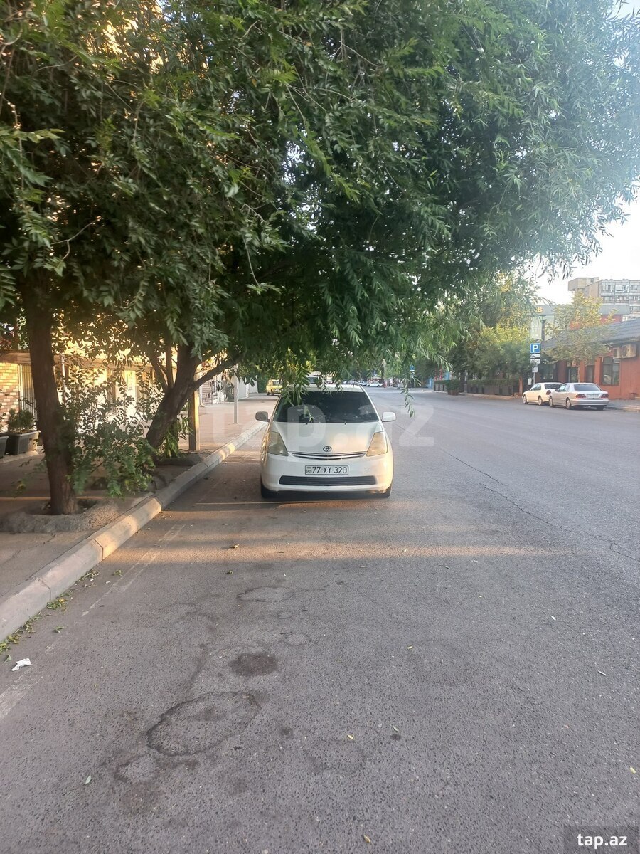 Toyota Prius, 2009 il (13)