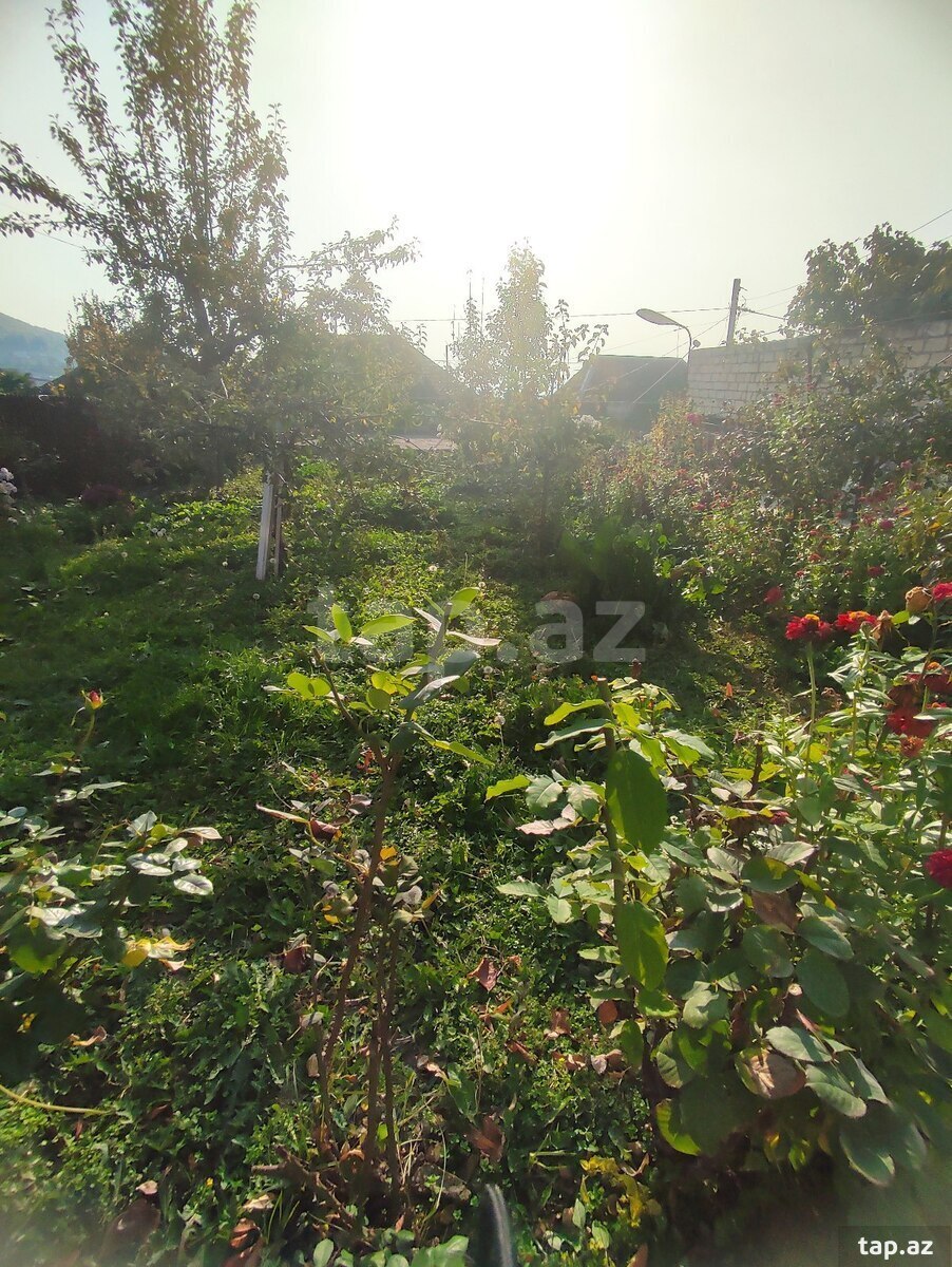 Bağ evi, Şəki ş.