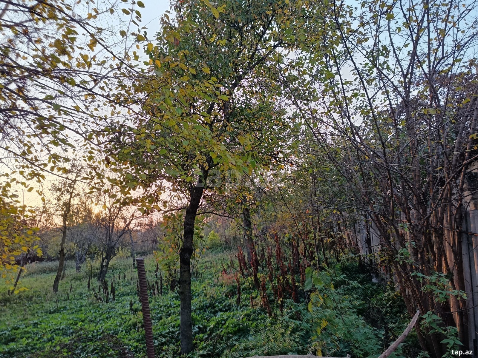 13 sot torpaq sahəsi, İsmayıllı r.