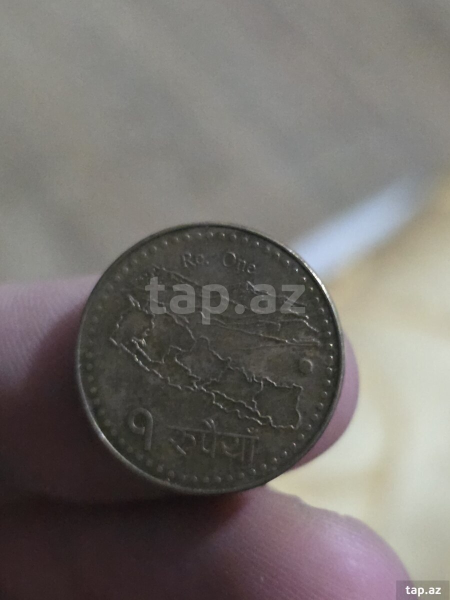 Amerika pulları (23)