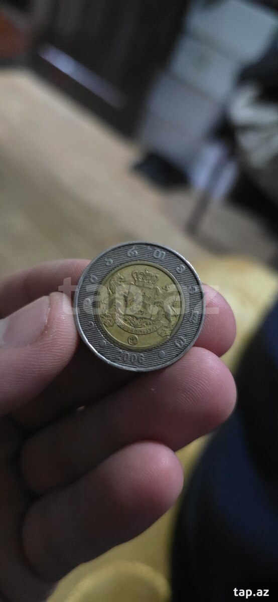 Amerika pulları (24)
