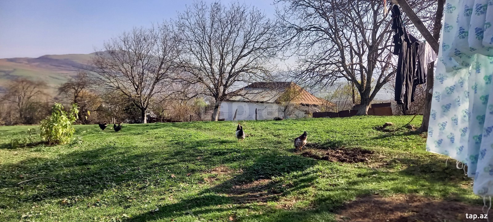 24 sot torpaq sahəsi, Lerik r.
