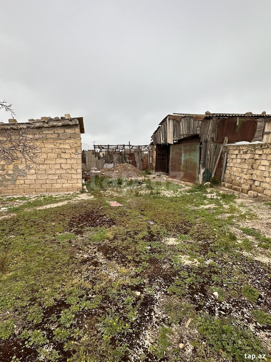 19 sot torpaq sahəsi icarəyə verilir, Pirallahı r.