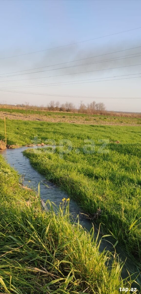 2500 sot torpaq sahəsi, Mingəçevir ş.