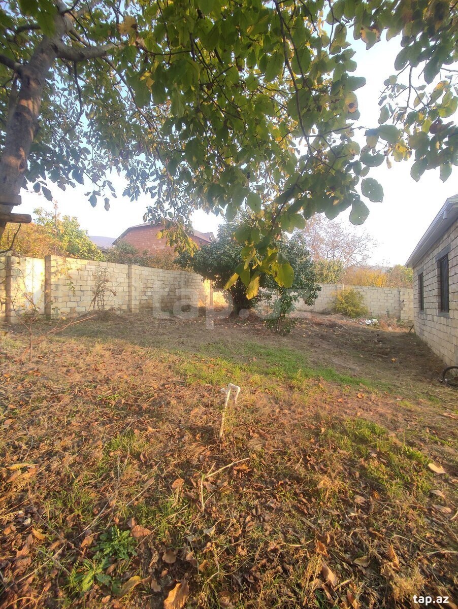 Həyət evi, Şəki ş.