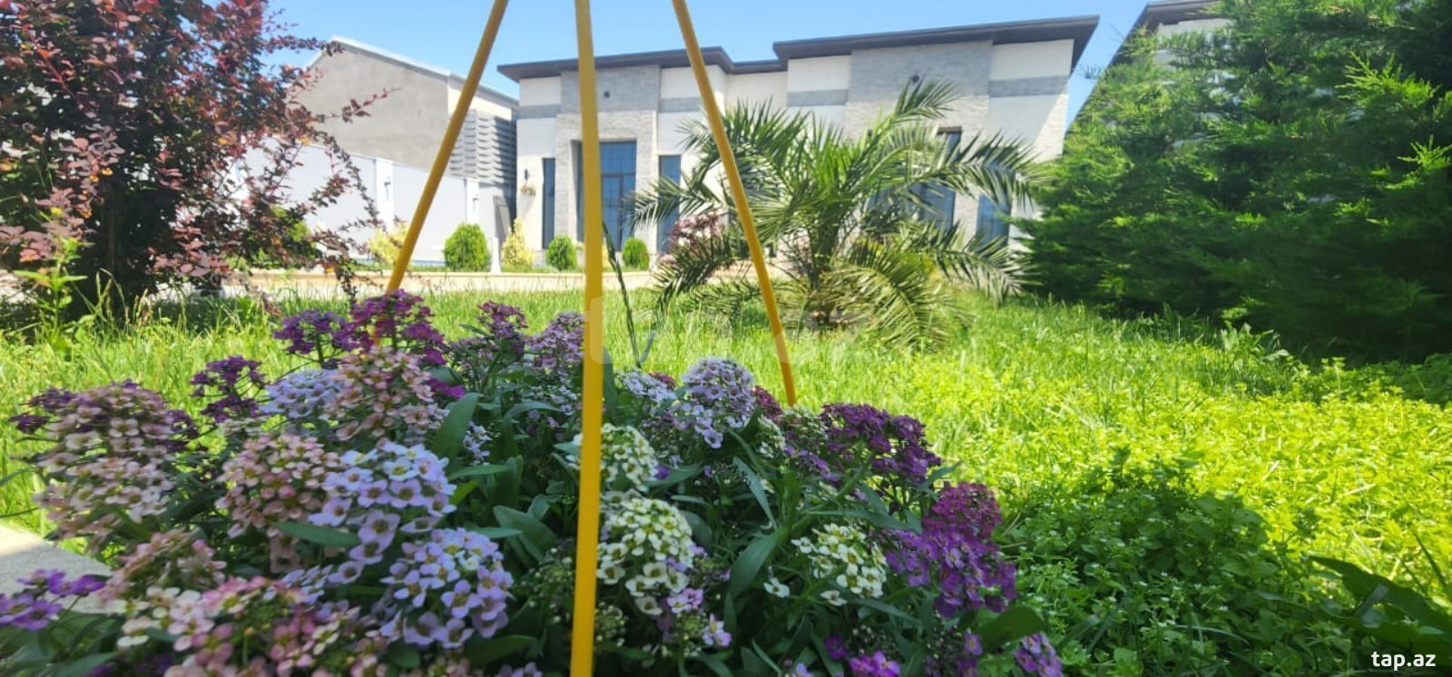 Bağ evi kirayə verilir, Mərdəkan qəs. (4)