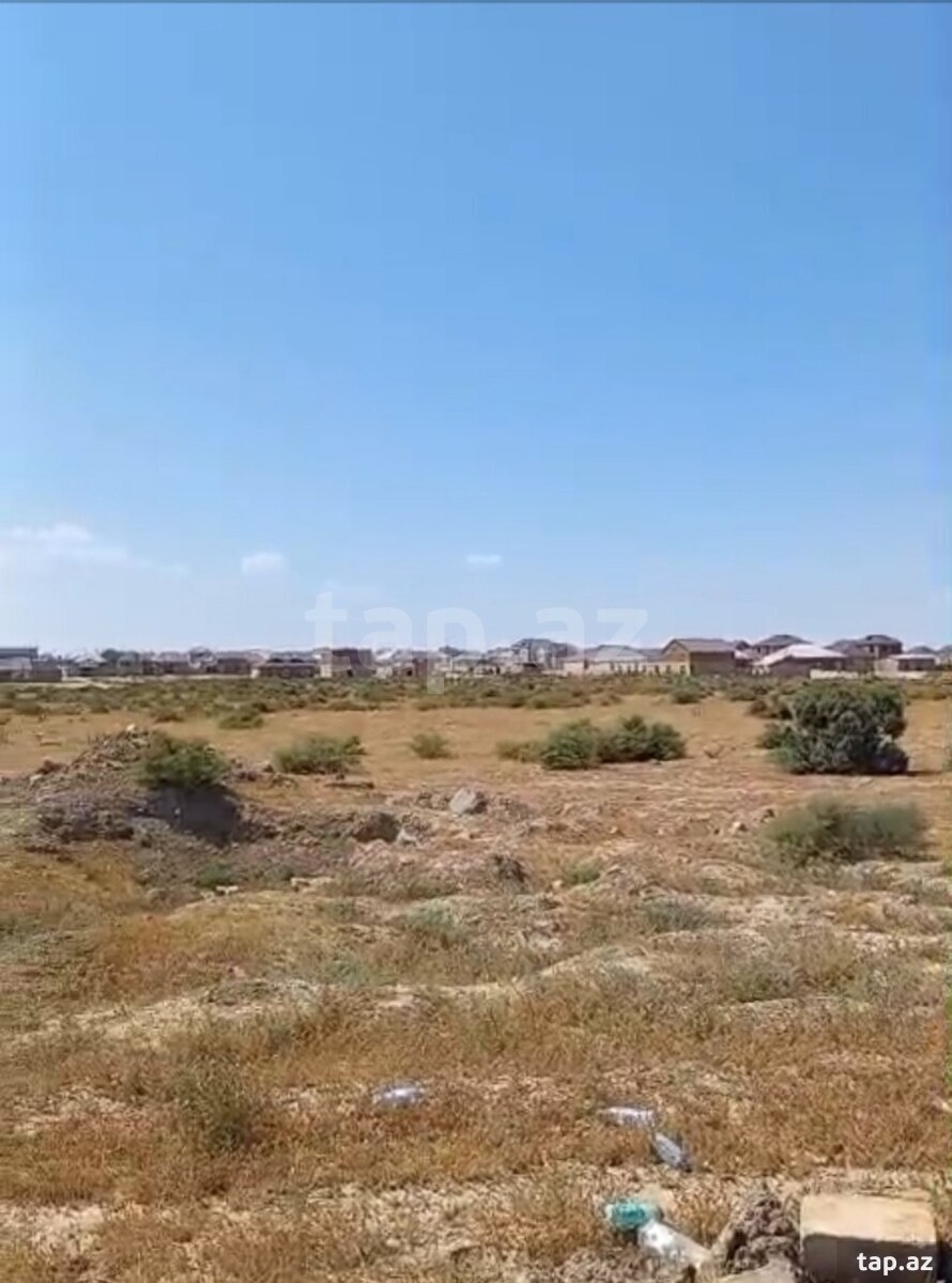 200 sot torpaq sahəsi, Abşeron r. (6)