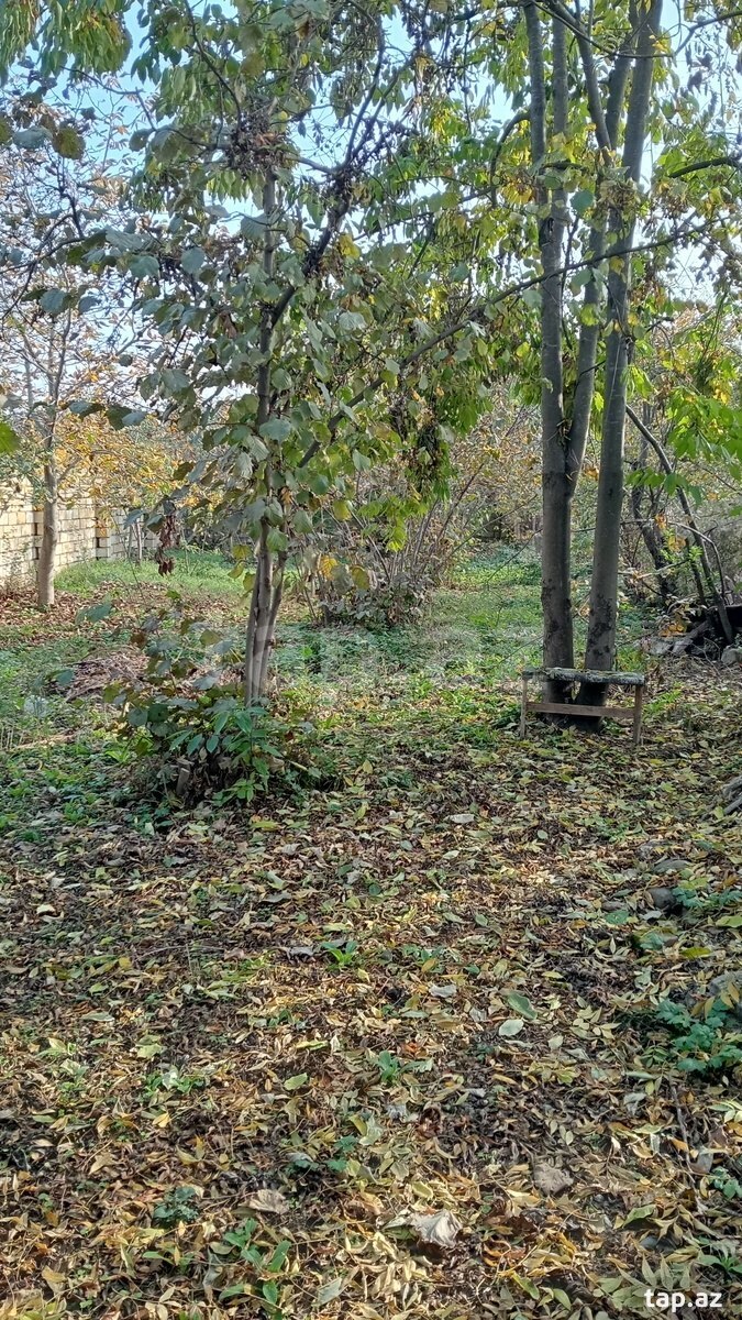 Həyət evi, Xudat ş.