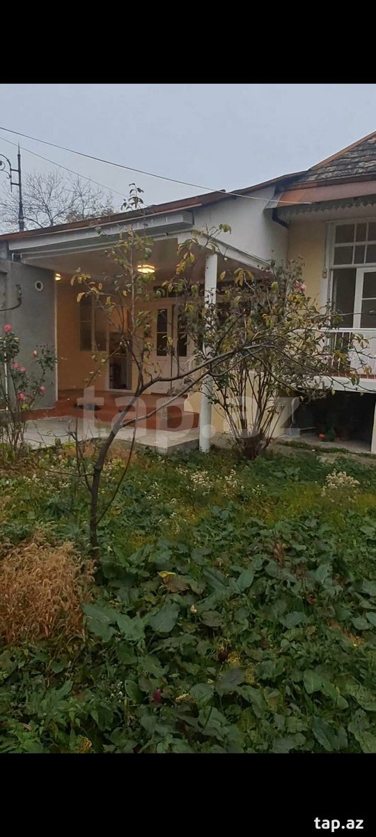 Həyət evi, Şəki ş.