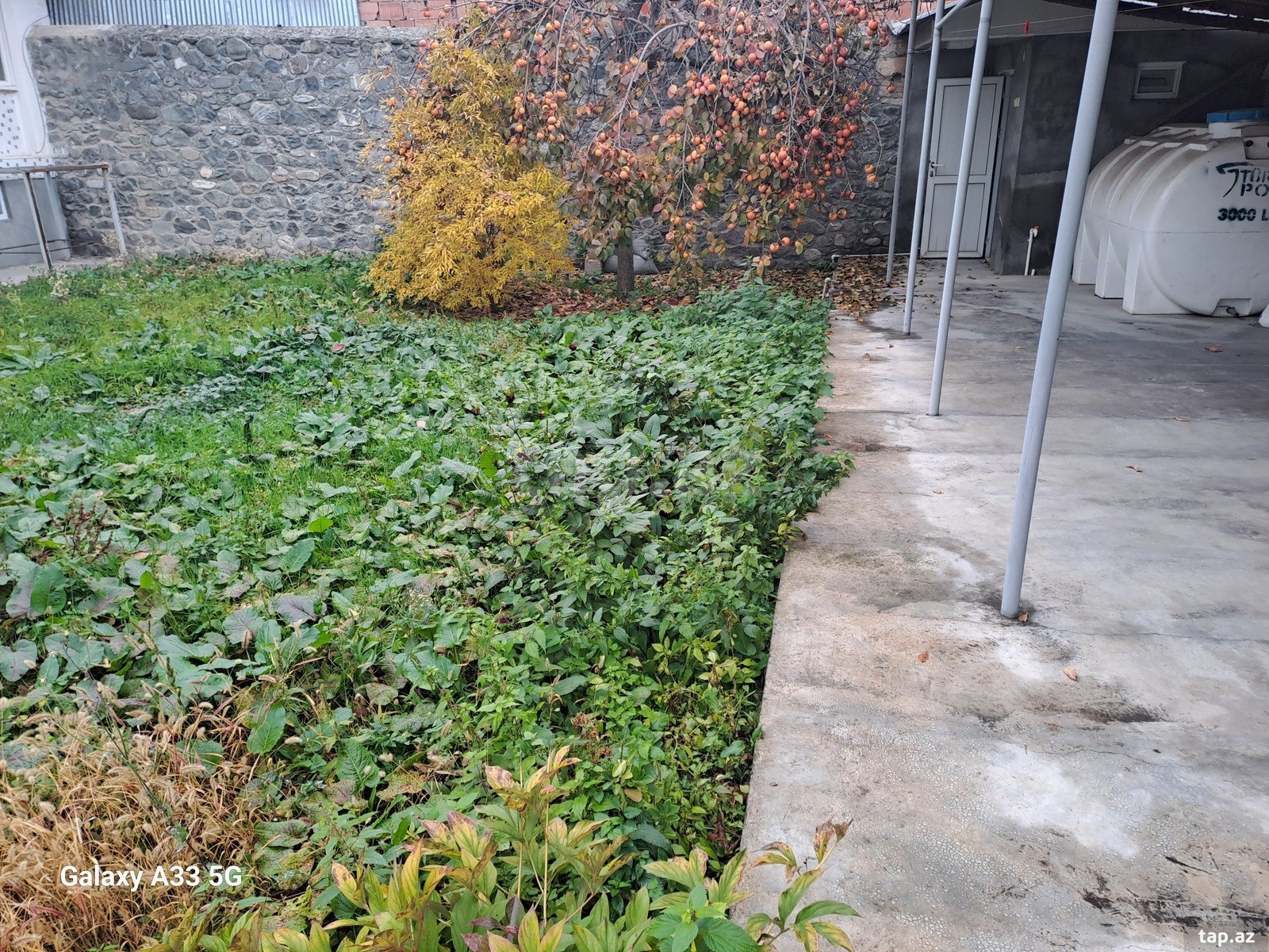 Həyət evi, Şəki ş.