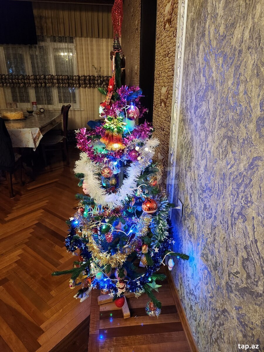 Şam ağacı