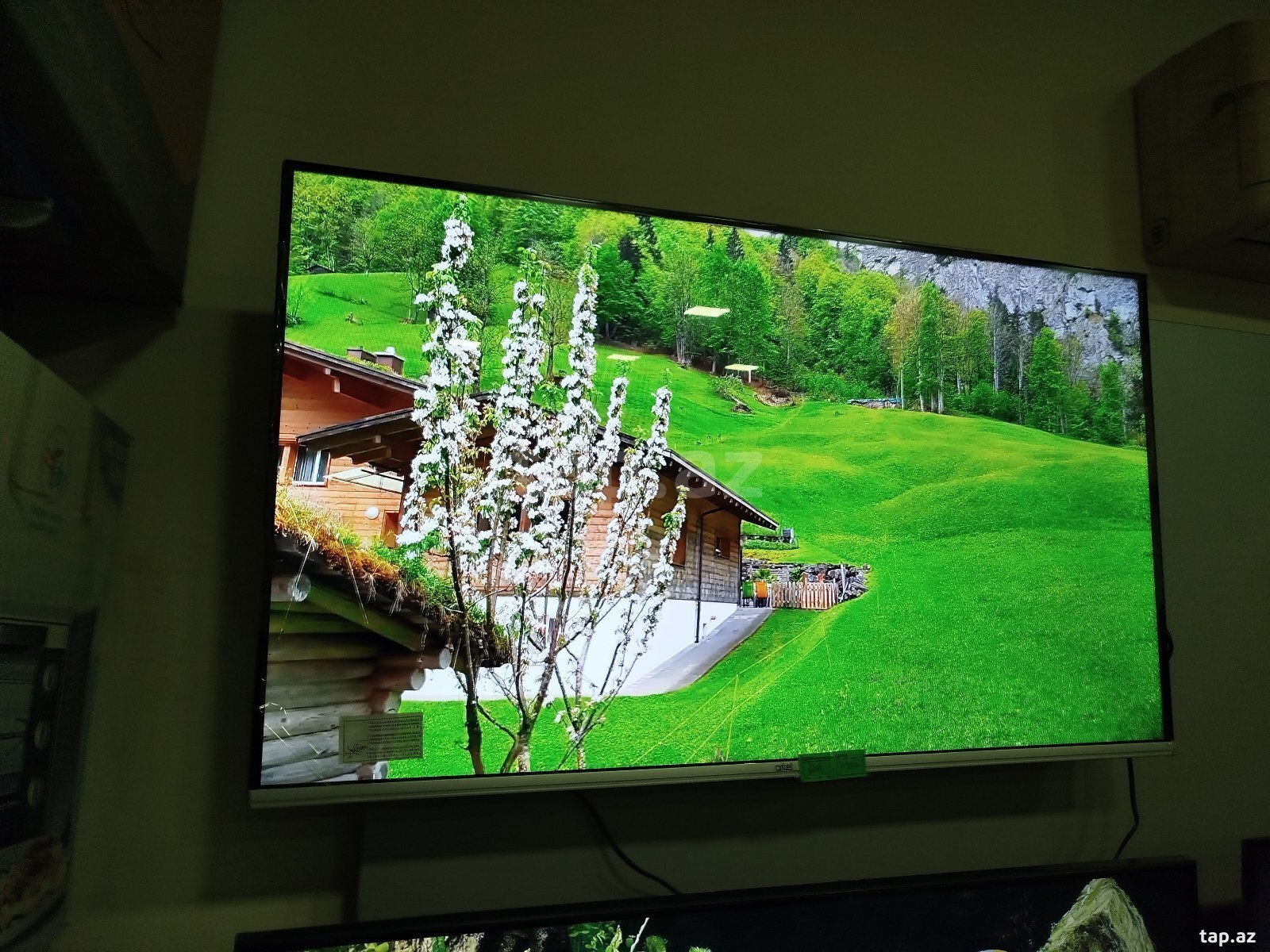 Televizor "Artel"