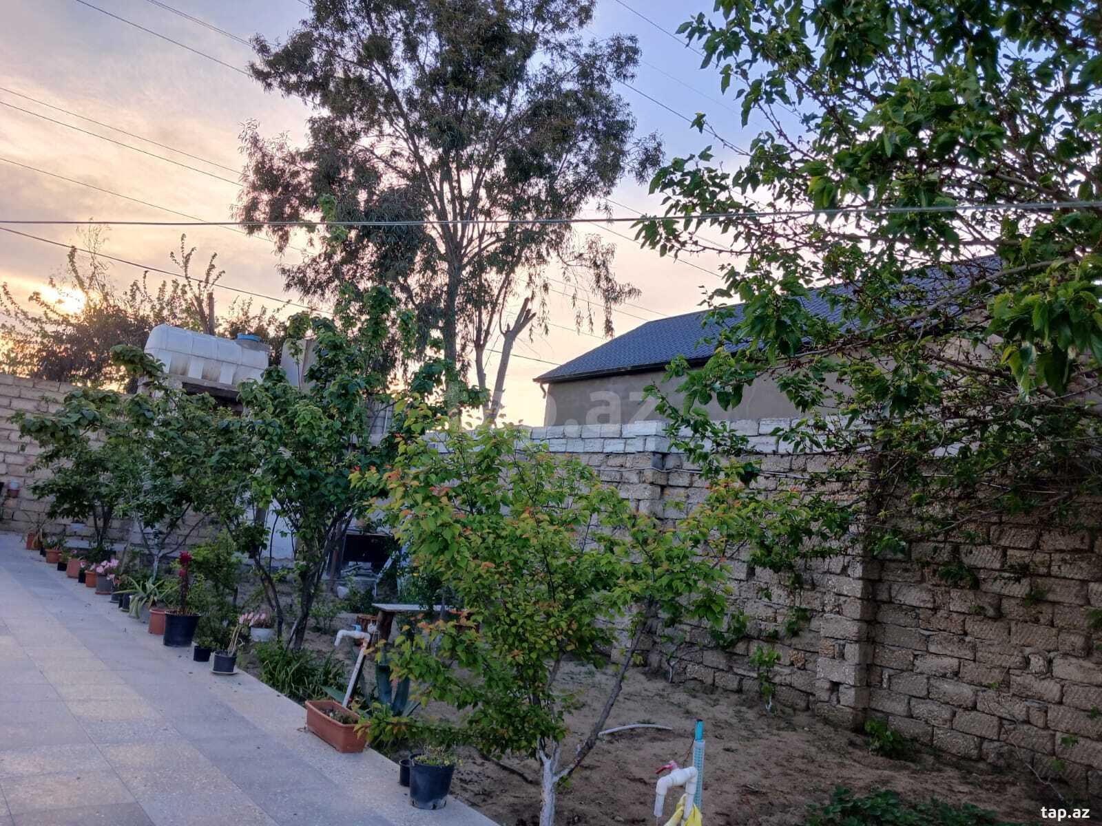 Bağ evi, Şüvəlan qəs. (31)