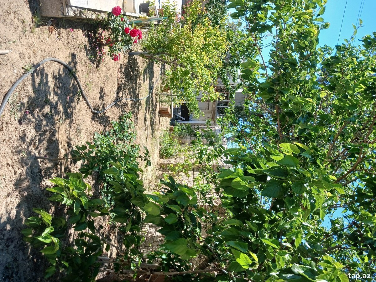 Bağ evi, Şüvəlan qəs. (29)