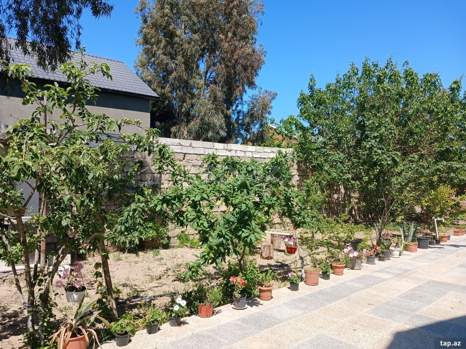 Bağ evi, Şüvəlan qəs. (28)