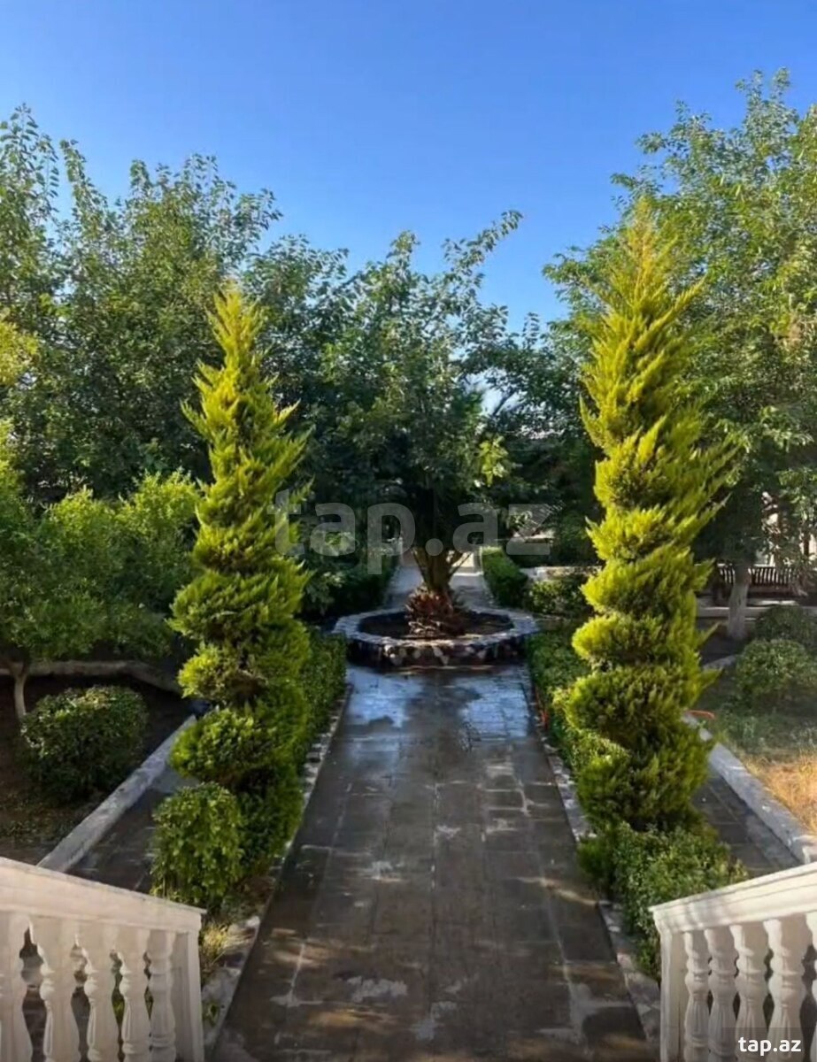 Bağ evi kirayə verilir, Mərdəkan qəs. (3)