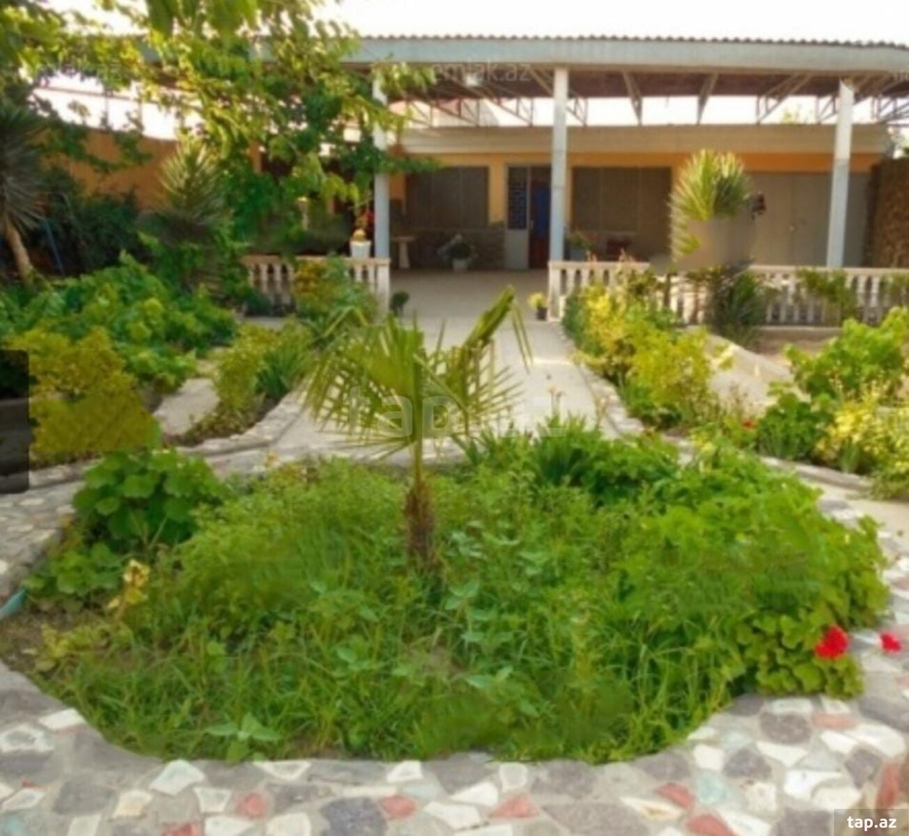 Bağ evi kirayə verilir, Mərdəkan qəs. (10)