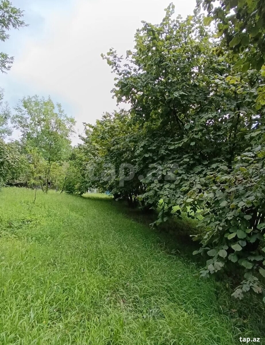 Həyət evi, Şəki ş. (12)