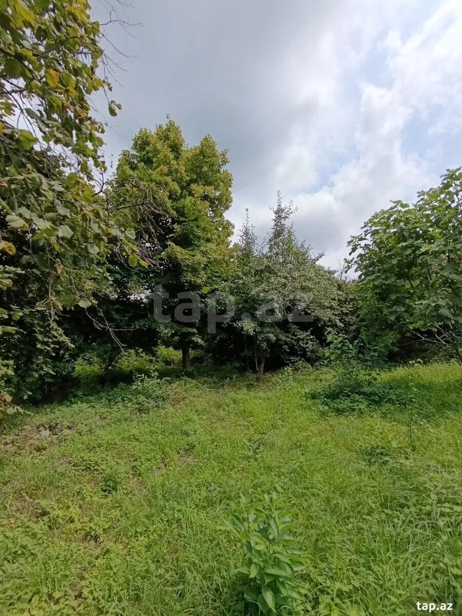 Həyət evi, Şəki ş. (18)