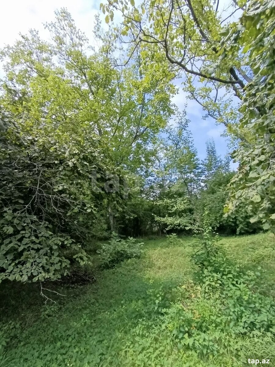 Həyət evi, Şəki ş. (19)