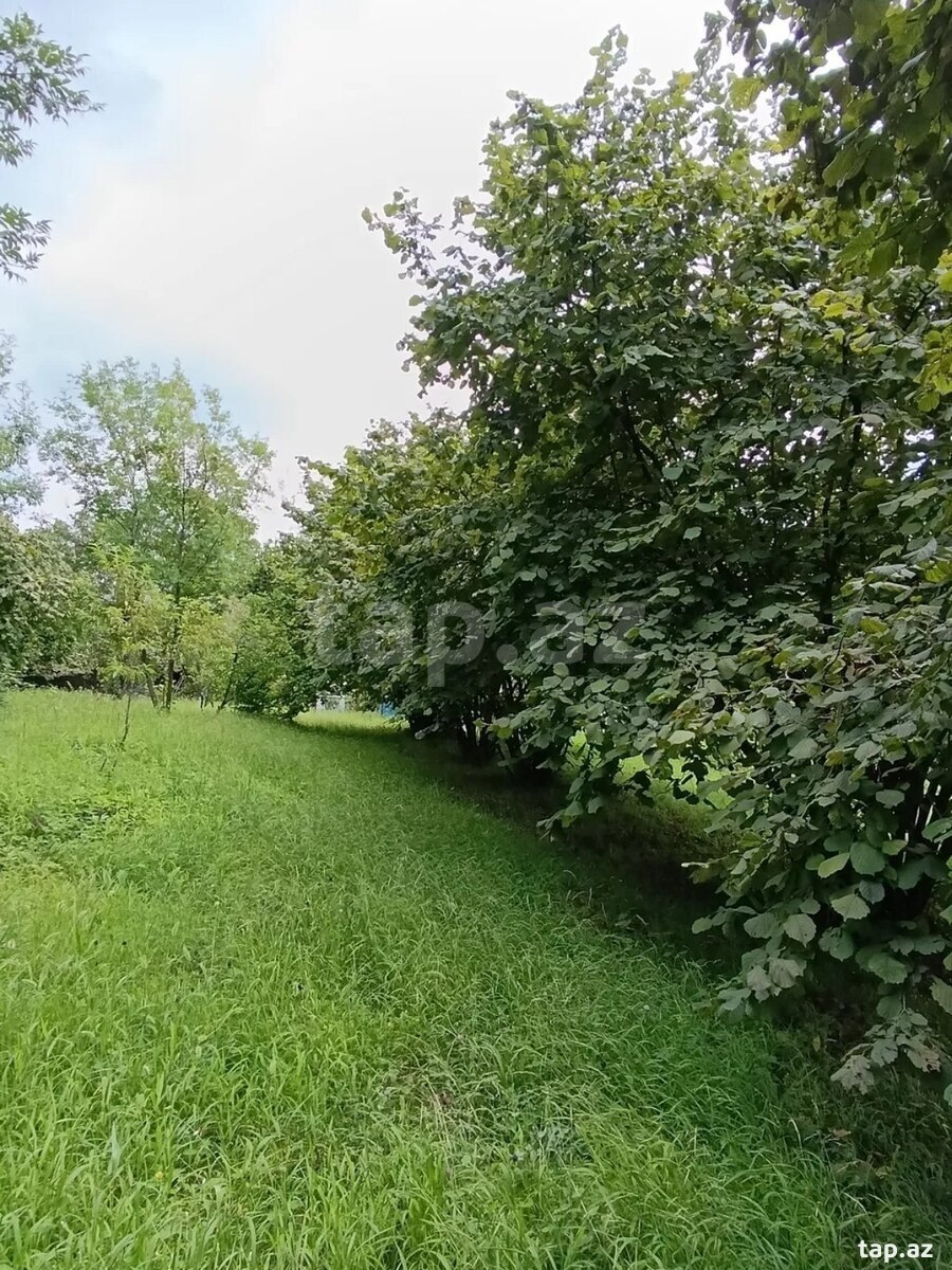Həyət evi, Şəki ş. (16)