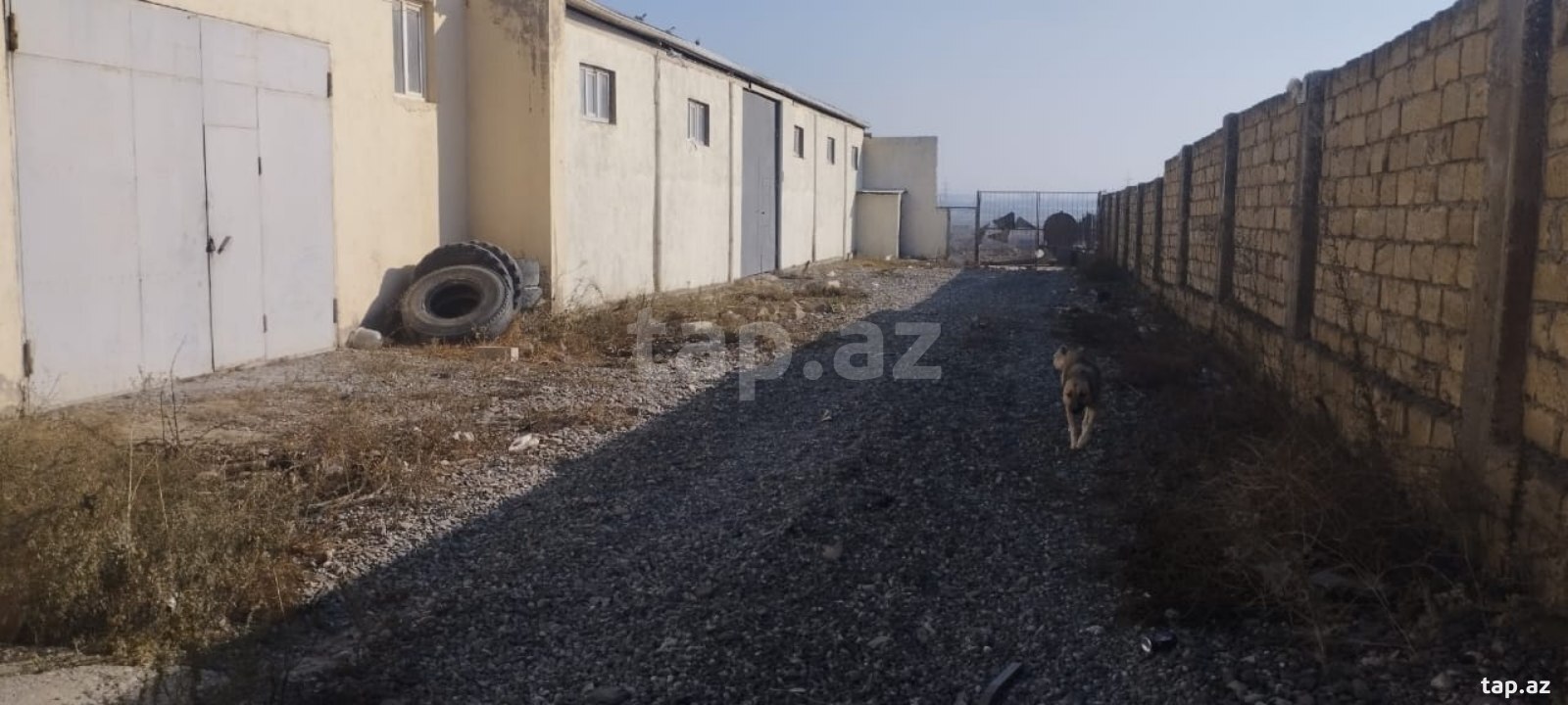 Obyekt icarəyə verilir, Abşeron r. (3)