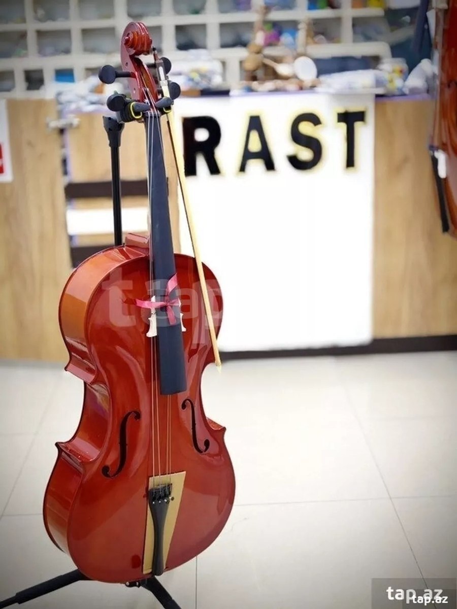 Violonçellər (2)