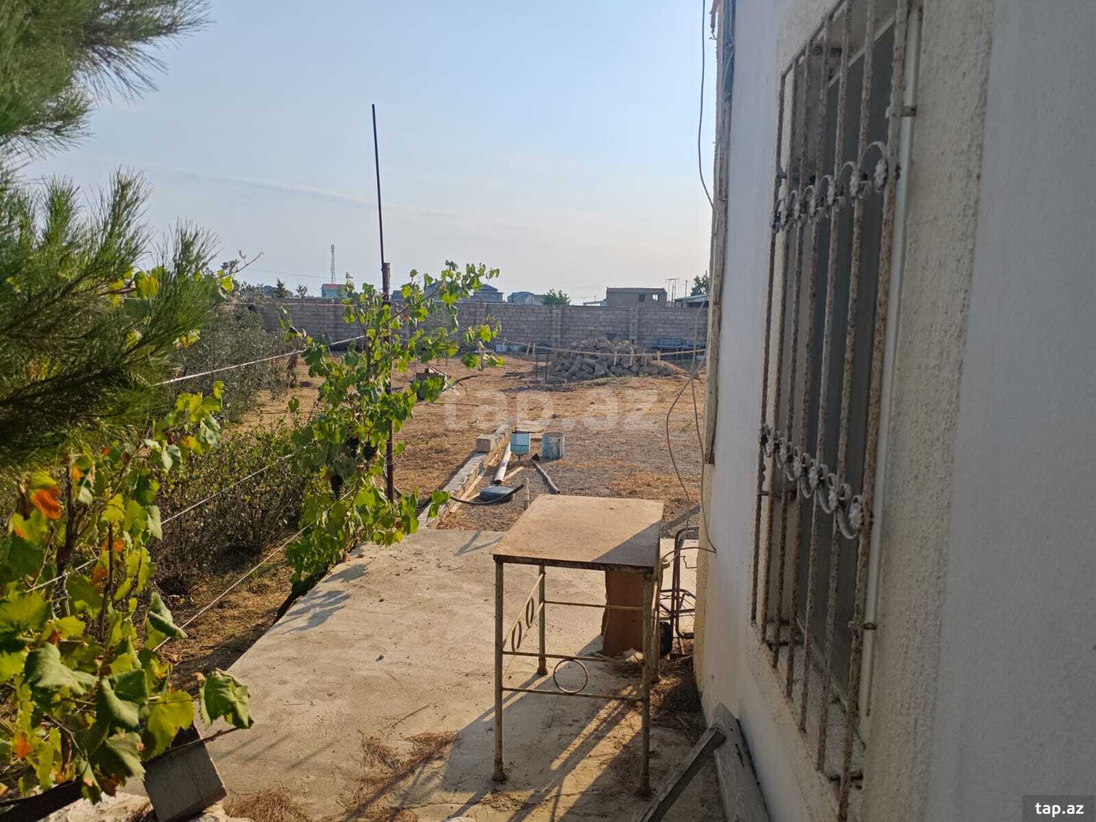 11 sot torpaq sahəsi, Zirə qəs. (9)