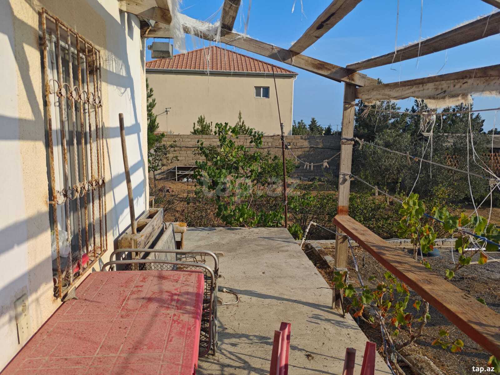 11 sot torpaq sahəsi, Zirə qəs. (11)
