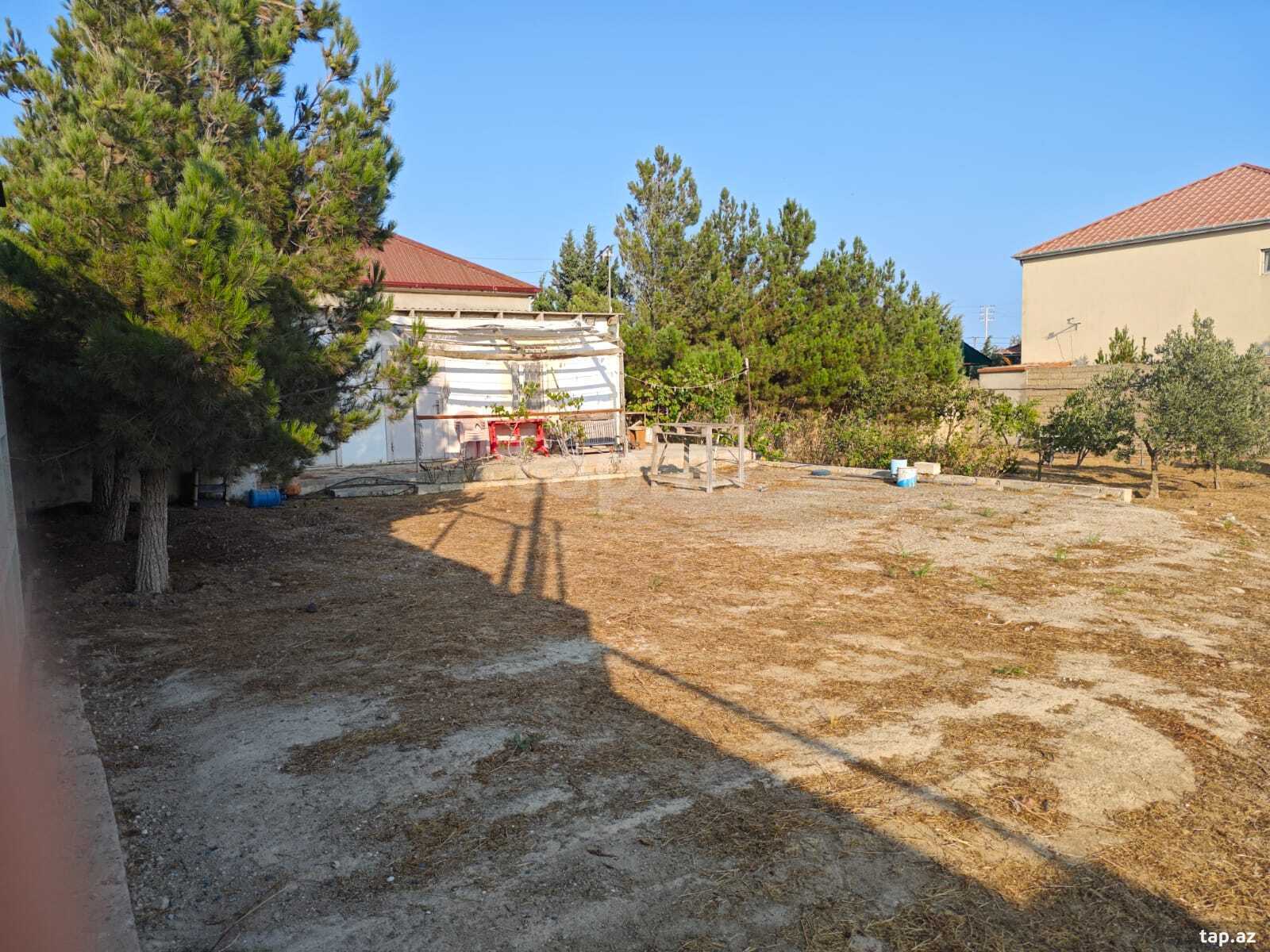 11 sot torpaq sahəsi, Zirə qəs. (2)