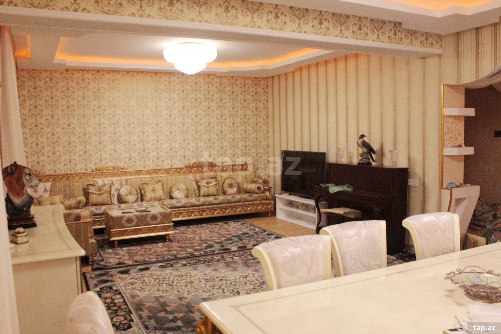 Villa kirayə verilir, Gənclik m.