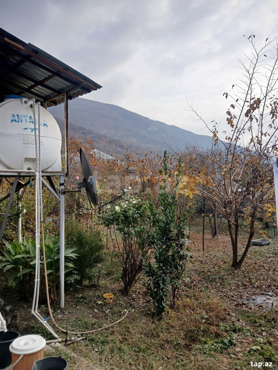 Həyət evi, Şəki ş. (4)