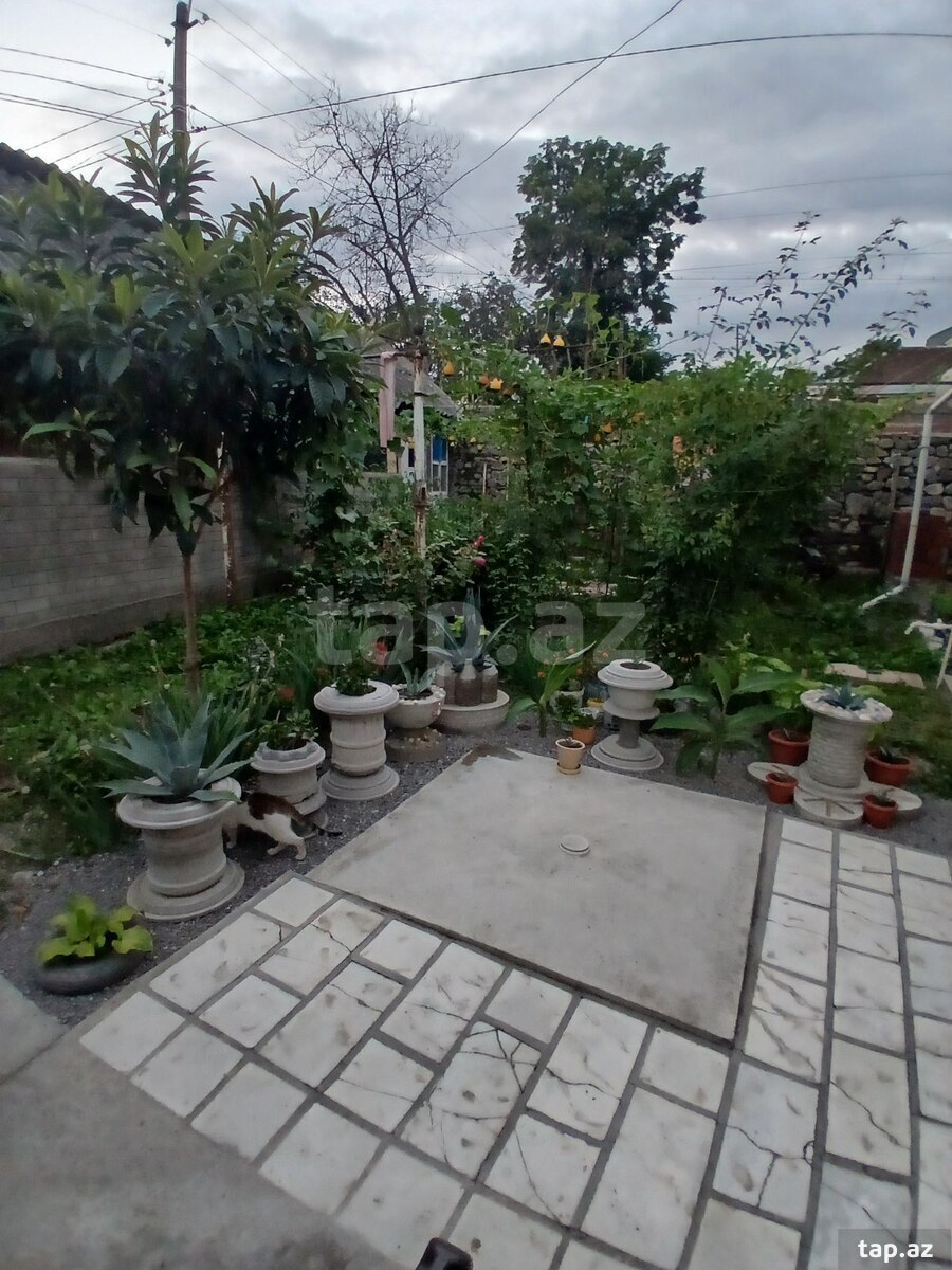 Həyət evi, Şəki ş. (5)
