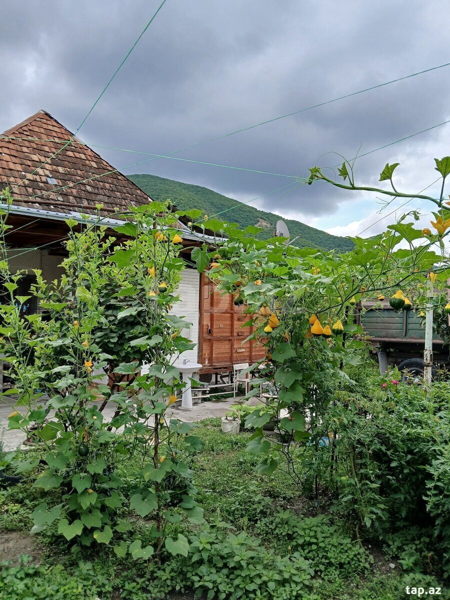 Həyət evi, Şəki ş. (8)