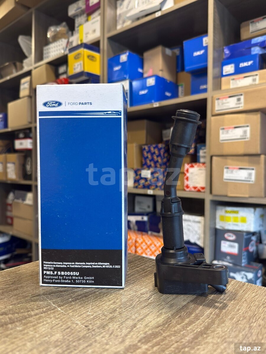 Ford Fusion 1.5 babini