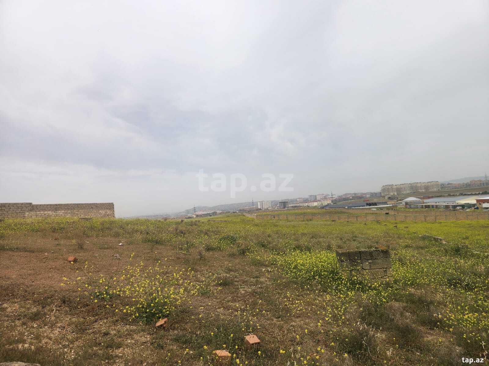 12 sot torpaq sahəsi, Masazır qəs. (2)