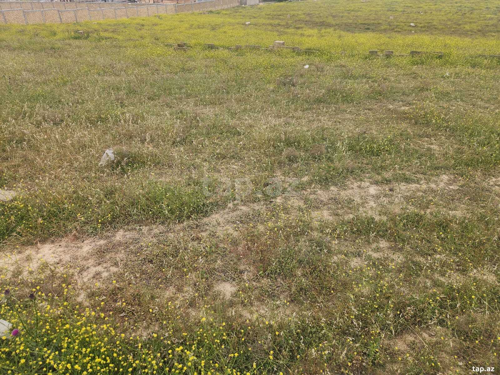 12 sot torpaq sahəsi, Masazır qəs. (4)